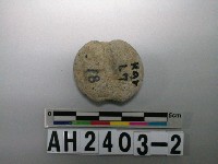 藏品(砝碼型石網墜)的圖片